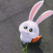 Xiaolou13995的个人资料头像