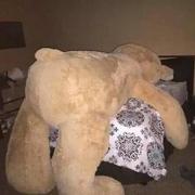 Afluy的个人资料头像