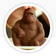 陈怀哲1481940487000的个人资料头像