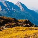 三木运算符的个人资料头像