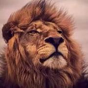 ZJLeBron的个人资料头像