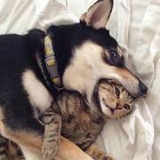 编程界吴彦祖的个人资料头像