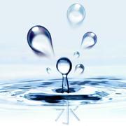 AlexZhengs的个人资料头像