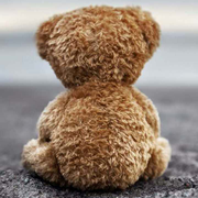 allenZhang123的个人资料头像