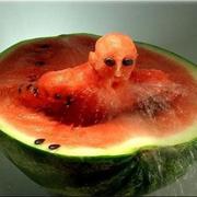 addapp的个人资料头像