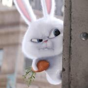 wentianbuyu的个人资料头像