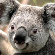 zhanggykt的个人资料头像