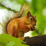 Starsea16030的个人资料头像