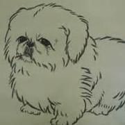 zouqilin的个人资料头像