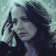 tradzero的个人资料头像