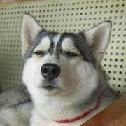 wutianjue的个人资料头像