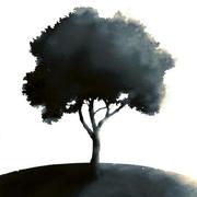 awfskoo的个人资料头像