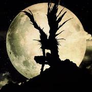 Fox丶的个人资料头像