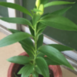 非鹭千里的个人资料头像