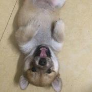 cnxueyu1488848391000的个人资料头像