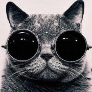 ONETWOTHREE18116的个人资料头像