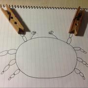 ShikiEiki的个人资料头像