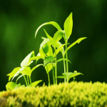 冰code的个人资料头像