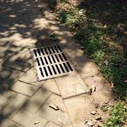 FayeS的个人资料头像