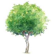 我是浩钦啊的个人资料头像