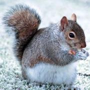 zyq361的个人资料头像