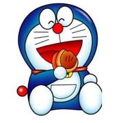 shisu的个人资料头像