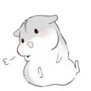tkoctkoc的个人资料头像