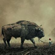 moyuanhui的个人资料头像