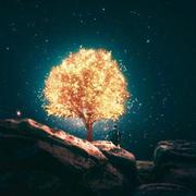 Kriy19612的个人资料头像