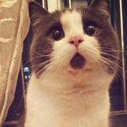 liushuang的个人资料头像