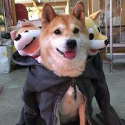 jiangyx的个人资料头像