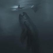 summercongcong的个人资料头像