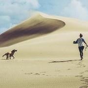 humorliang的个人资料头像