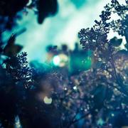 vikllert20256的个人资料头像