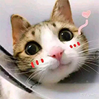 温柔的码农的个人资料头像