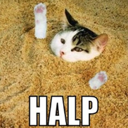 sinlov的个人资料头像