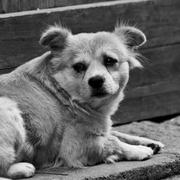 yk0505的个人资料头像