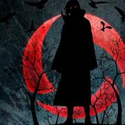 金木灬的个人资料头像