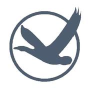 windform的个人资料头像