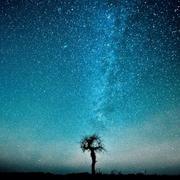 Await酱的个人资料头像