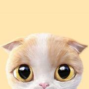 vitorv的个人资料头像