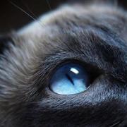 adwardlzq的个人资料头像