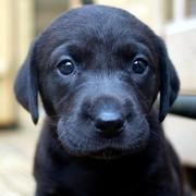 ClayZhu的个人资料头像