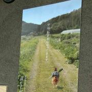 AnnShih的个人资料头像