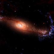 xiaolvzi的个人资料头像