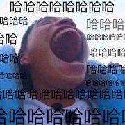 吐槽营的个人资料头像