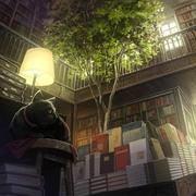 Licoy的个人资料头像