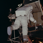 ldz23328的个人资料头像