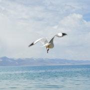 英文中字的个人资料头像