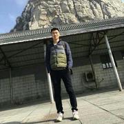 fiveTree的个人资料头像